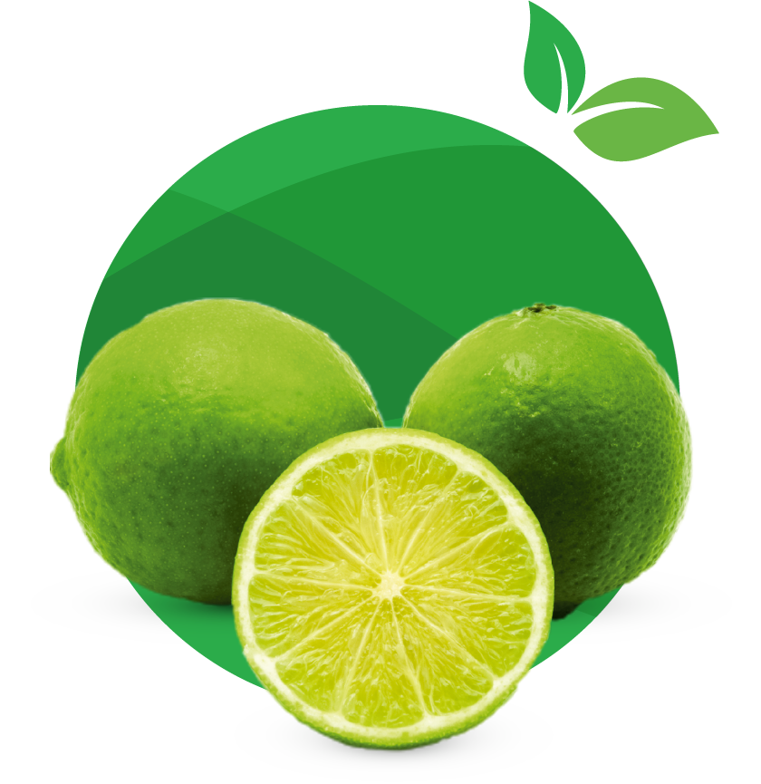 Limes