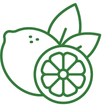 Lemon icon